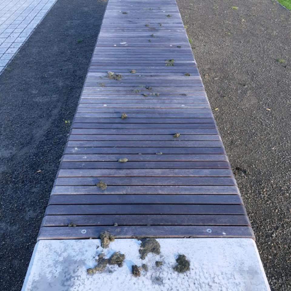 The photograph attached to this parks report
