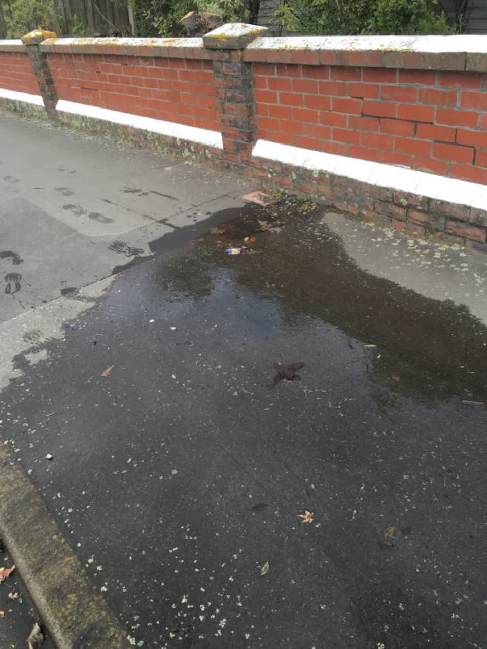 The photograph attached to this water supply report