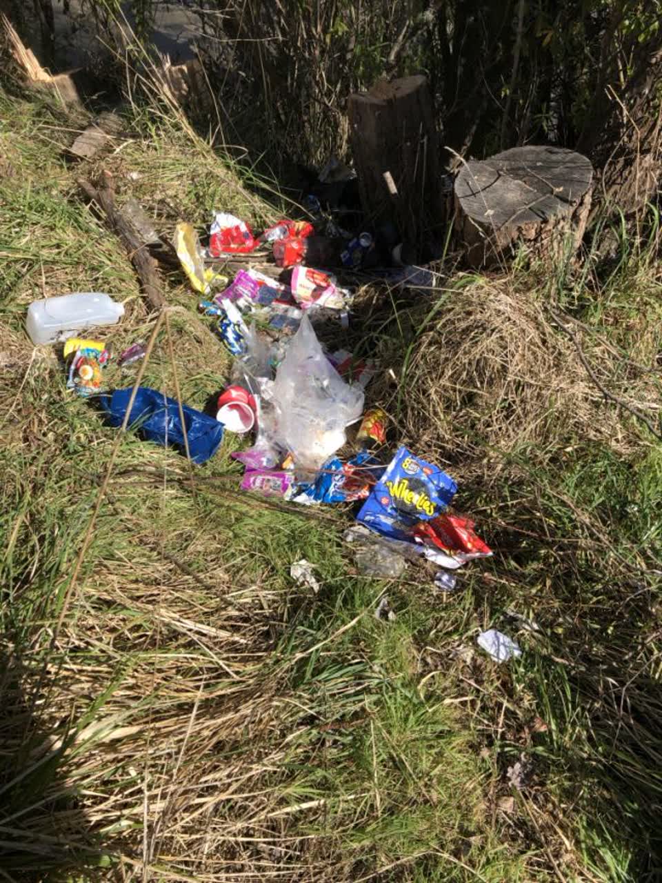The photograph attached to this parks report