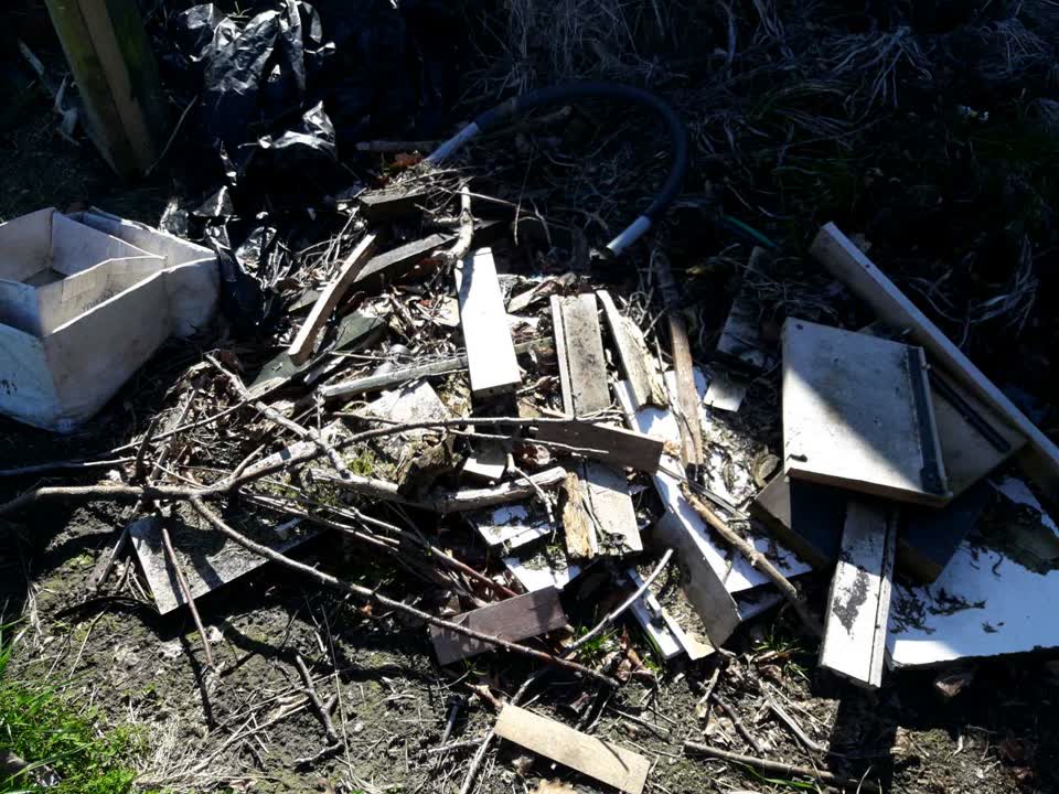 The photograph attached to this parks report