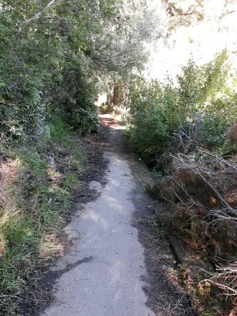 Parks — a report photo