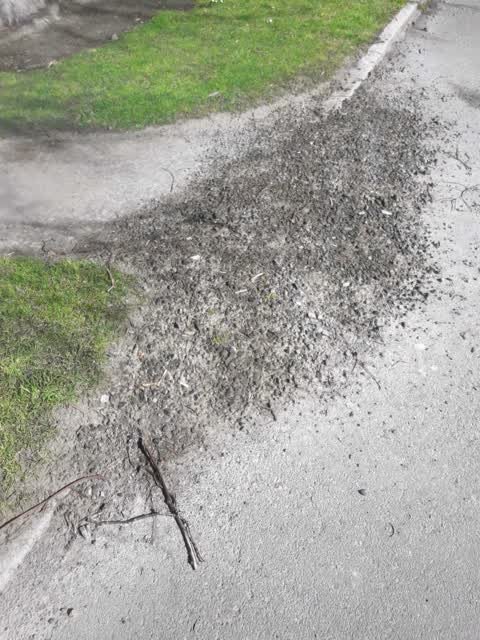 Parks, a report photo