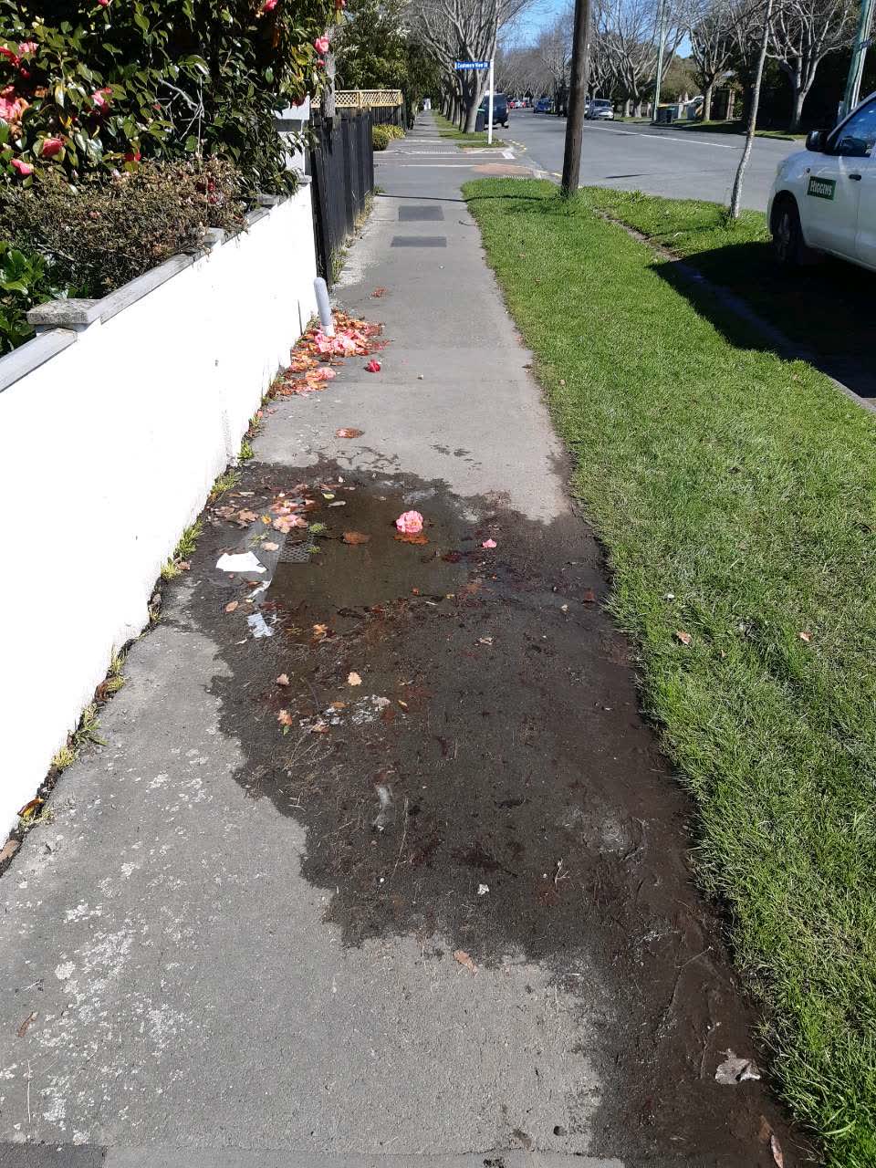 The photograph attached to this water supply report