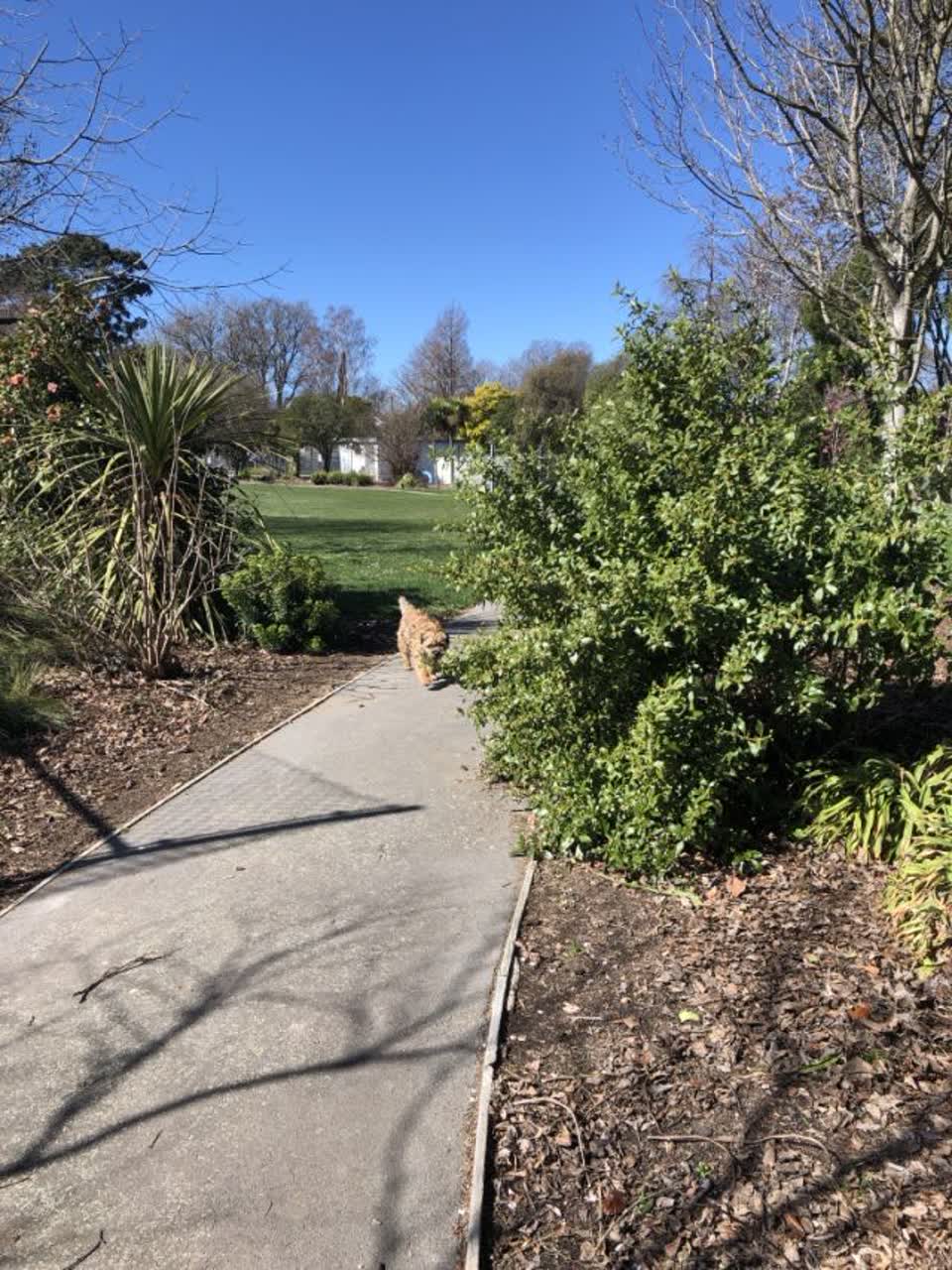 The photograph attached to this parks report