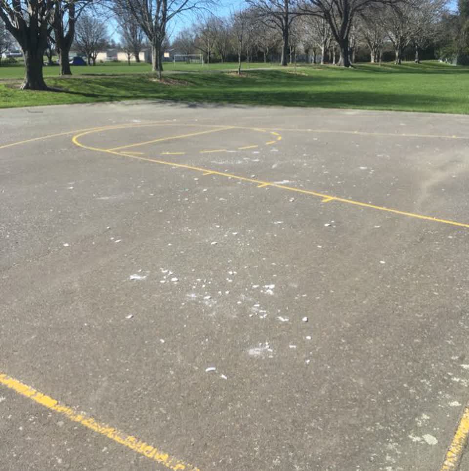 The photograph attached to this parks report