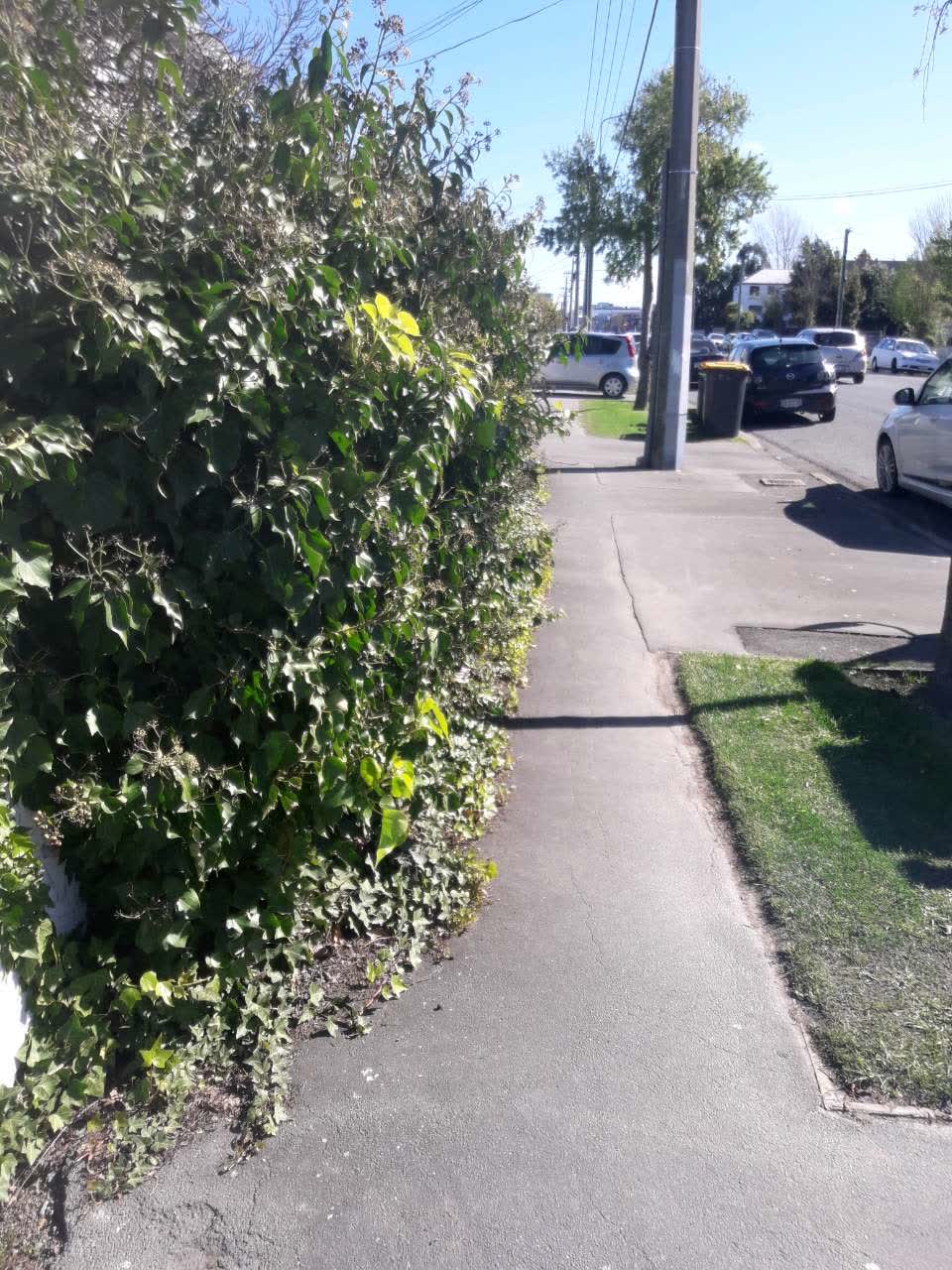 The photograph attached to this parks report