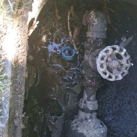 Water Supply, a report photo