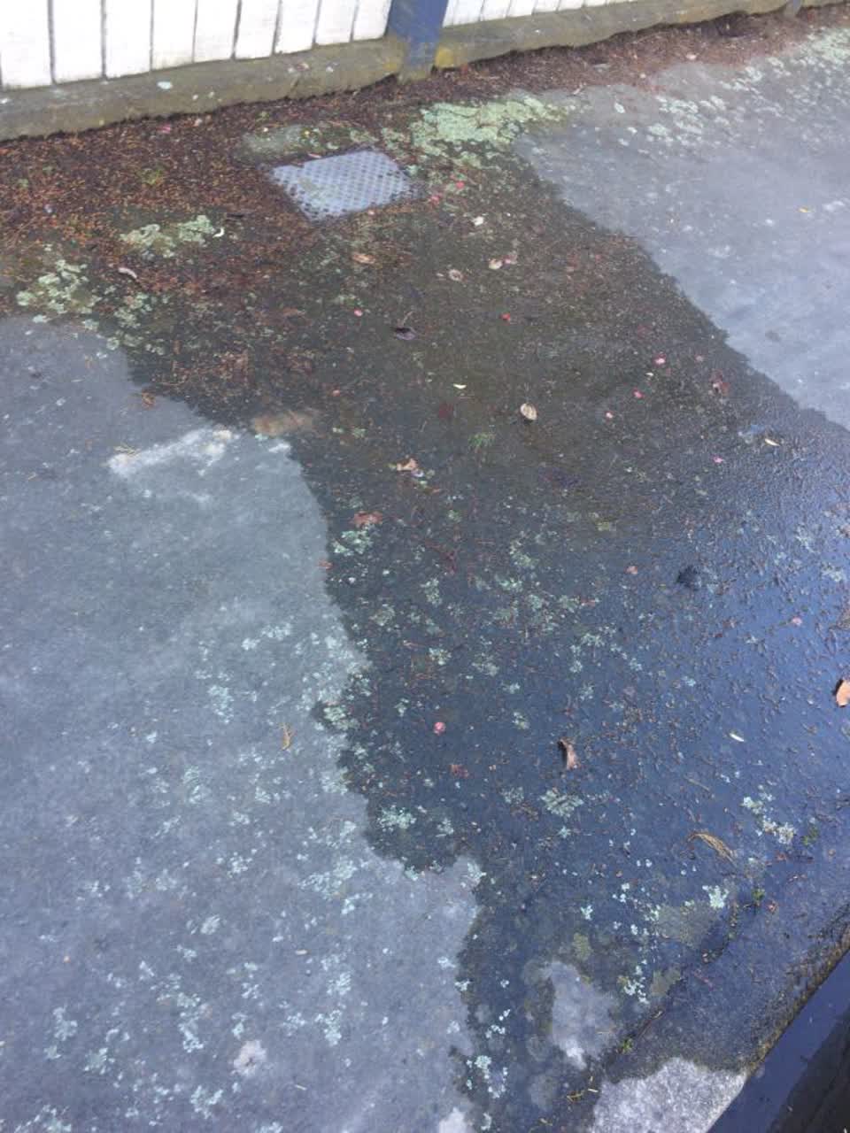 The photograph attached to this water supply report
