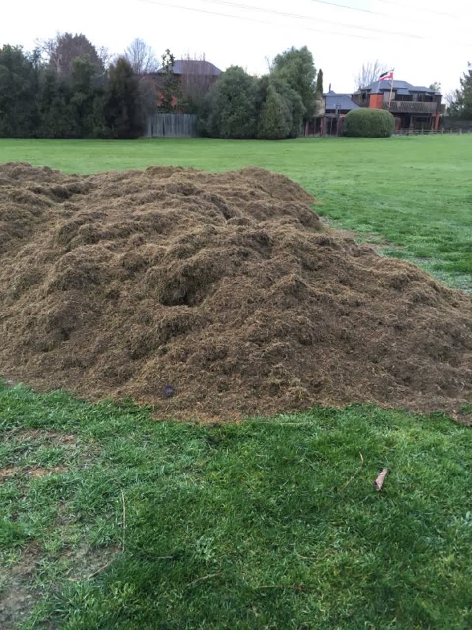 The photograph attached to this parks report