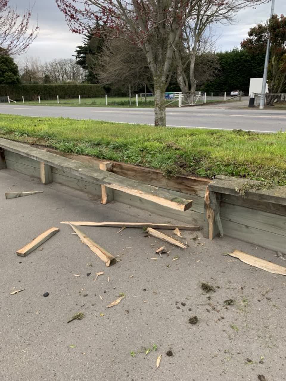 The photograph attached to this parks report