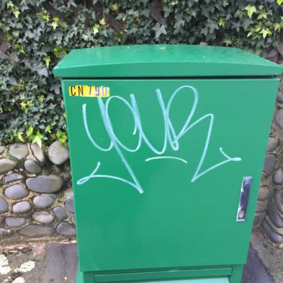 The photograph attached to this graffiti report