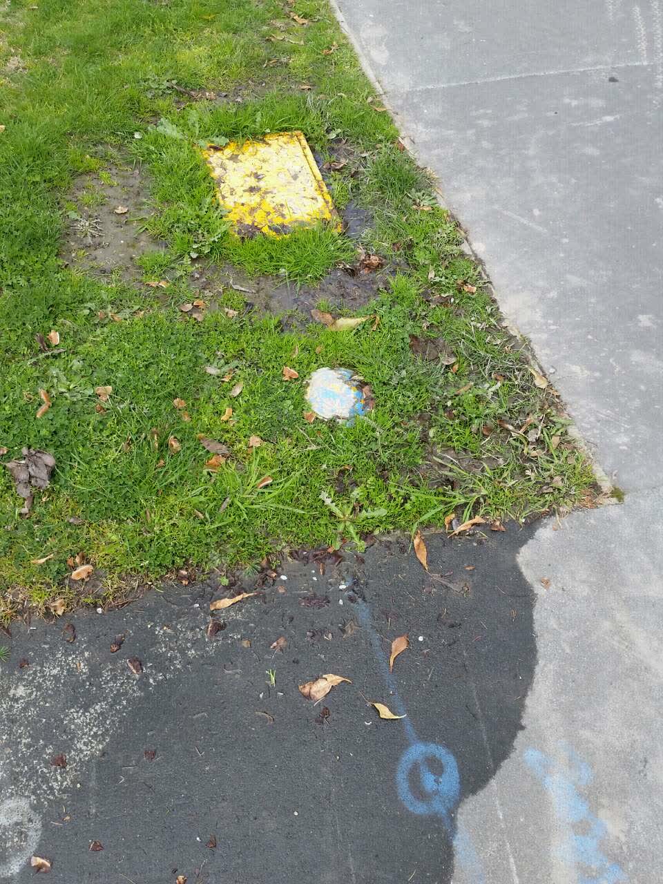 The photograph attached to this water supply report