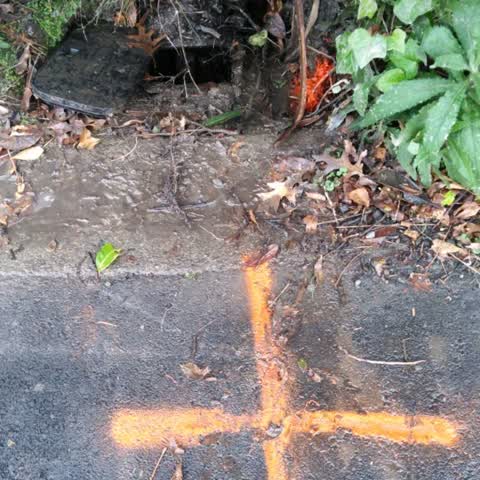 Wastewater/Stormwater, a report photo