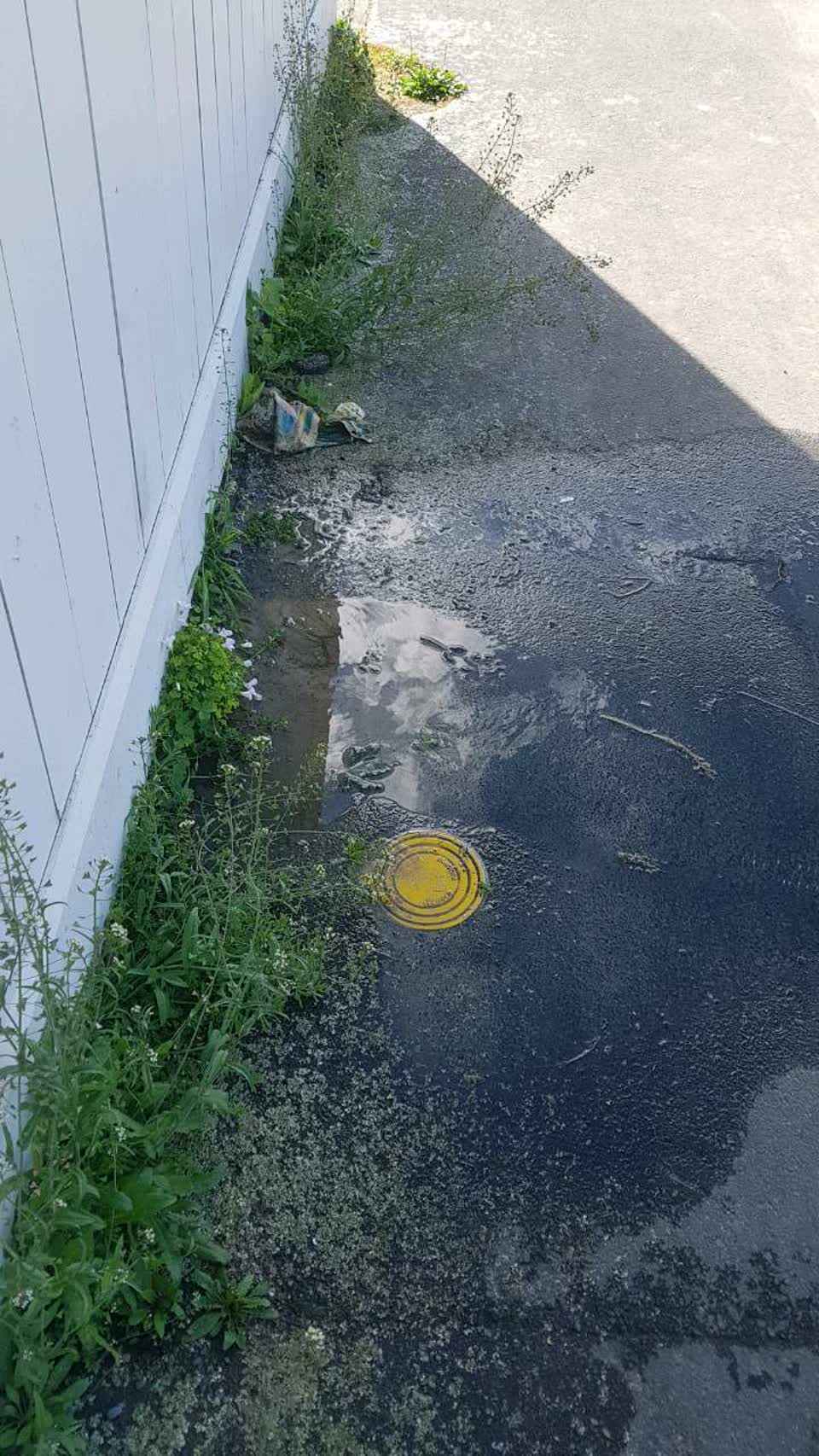 The photograph attached to this water supply report