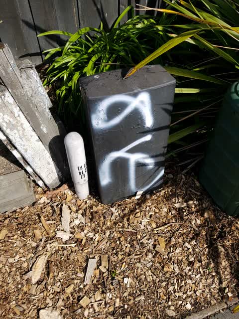 Graffiti, a report photo