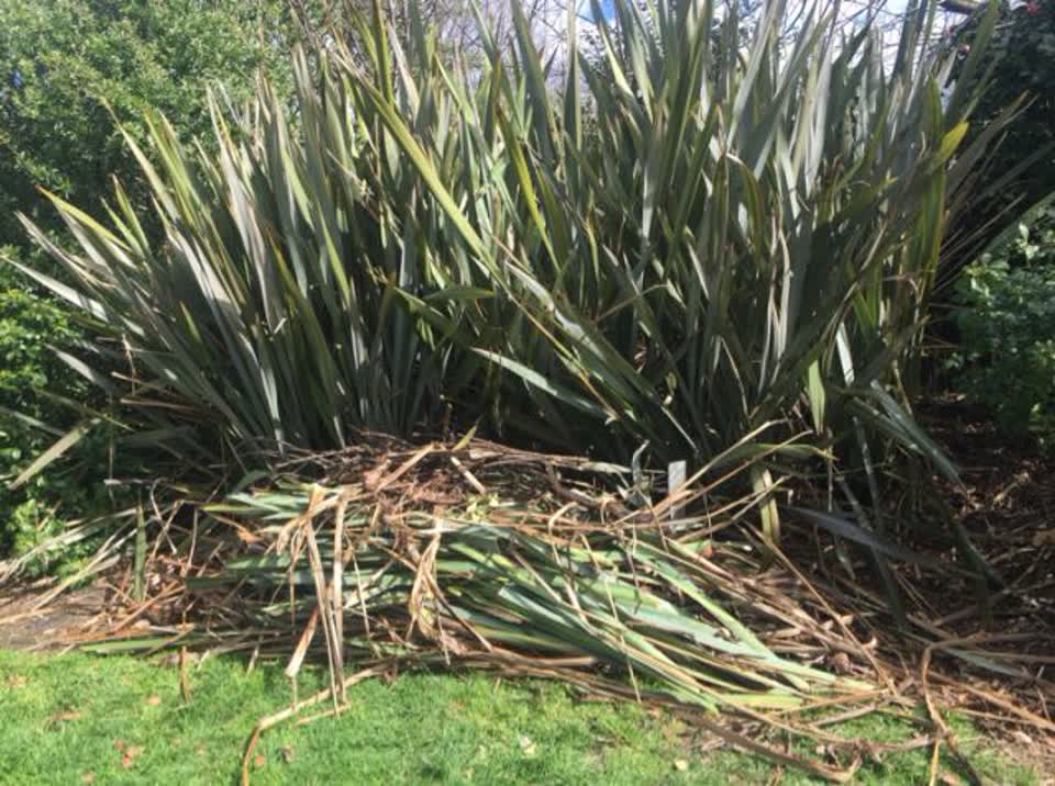The photograph attached to this parks report