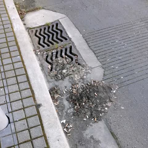 Roading/Streets, a report photo