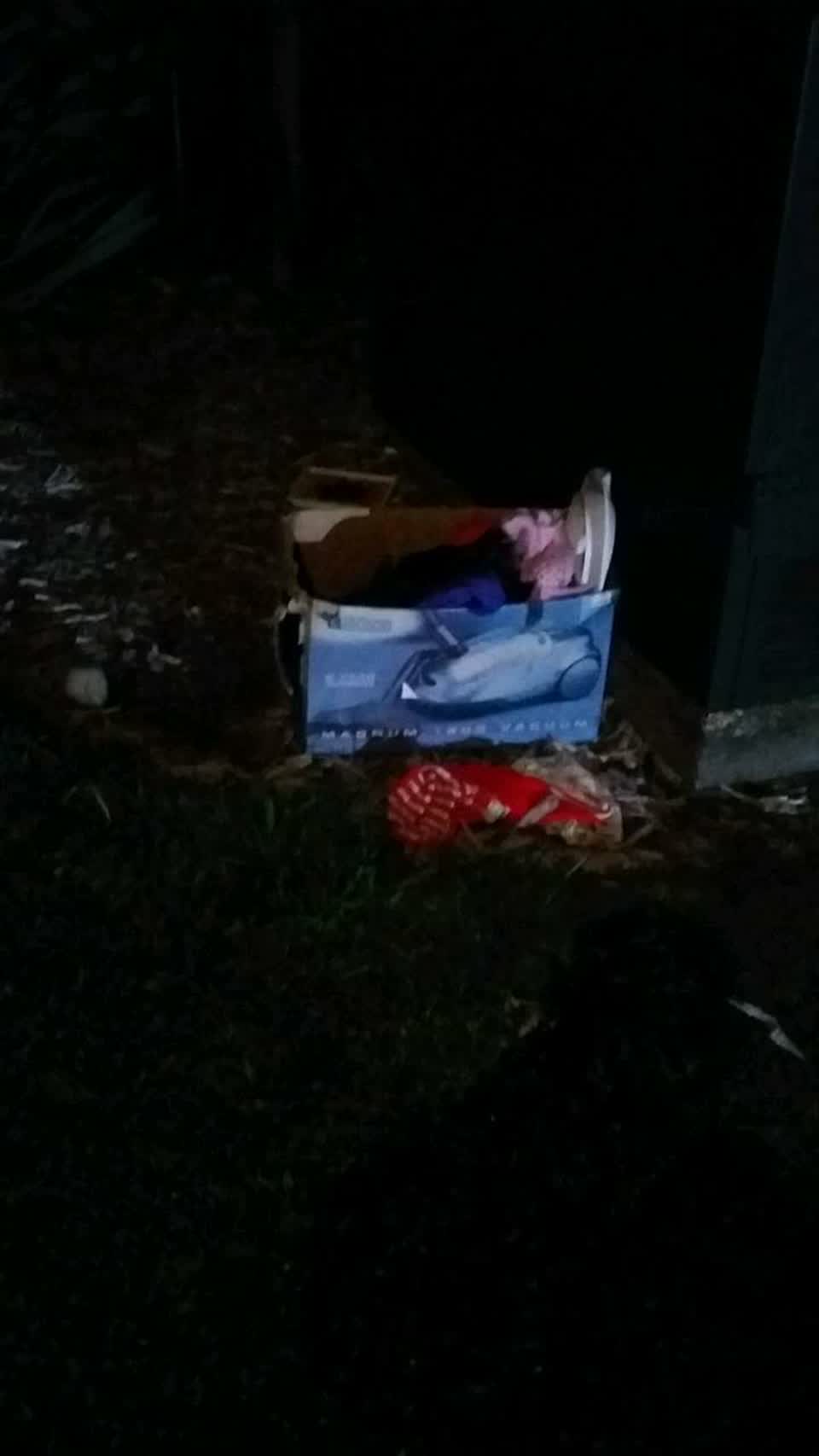 The photograph attached to this rubbish and bins - general report