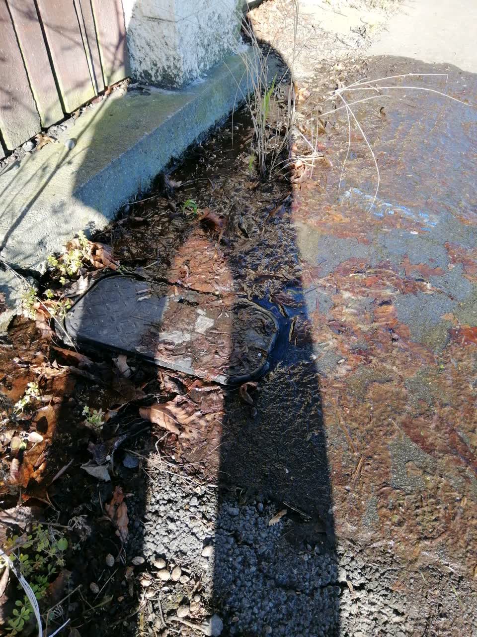 The photograph attached to this water general report