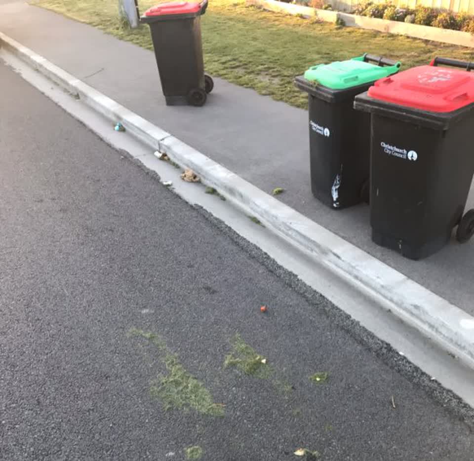 The photograph attached to this rubbish and bins - general report