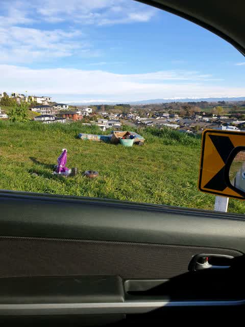 Rubbish and Bins - General, a report photo