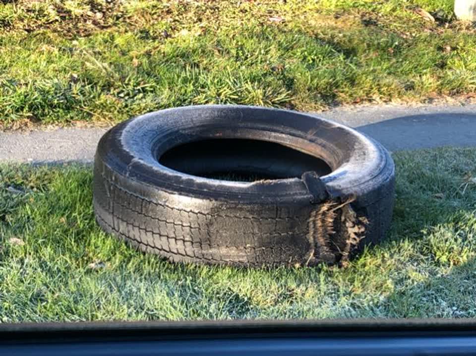 The photograph attached to this rubbish and bins - general report