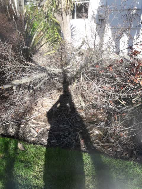 Parks, a report photo
