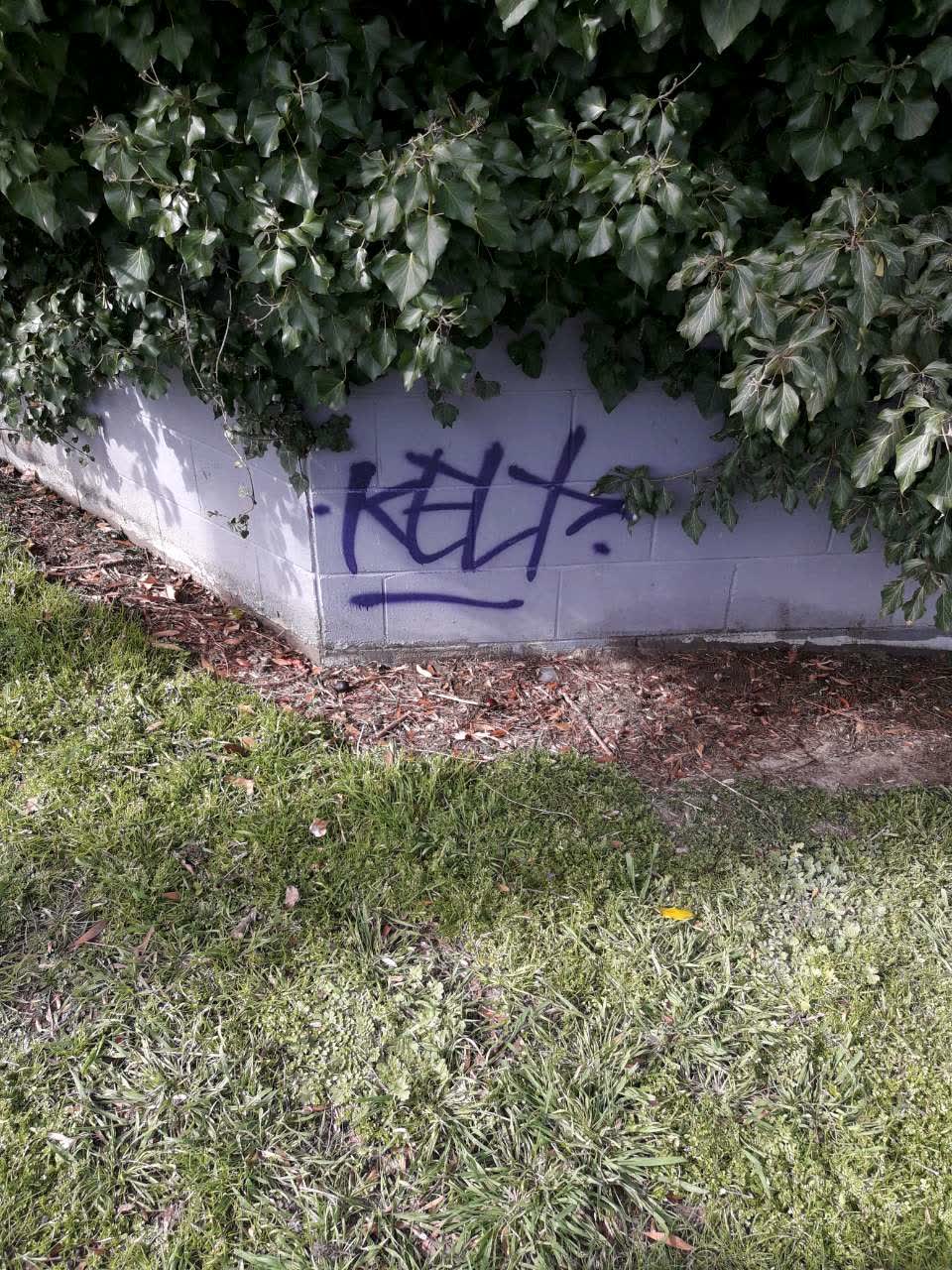 The photograph attached to this graffiti report