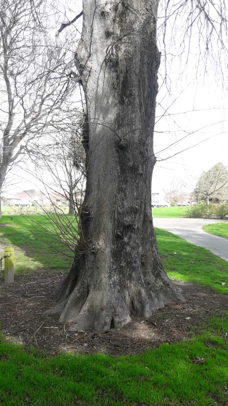 The photograph attached to this parks report