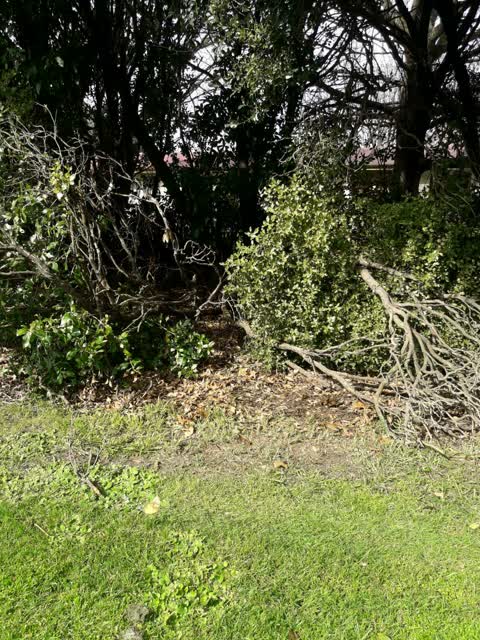 Parks, a report photo