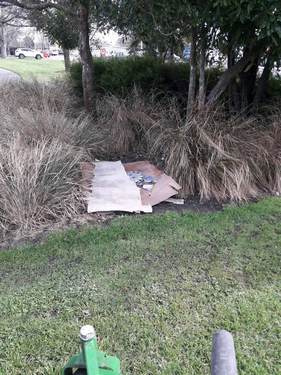The photograph attached to this rubbish and bins - general report