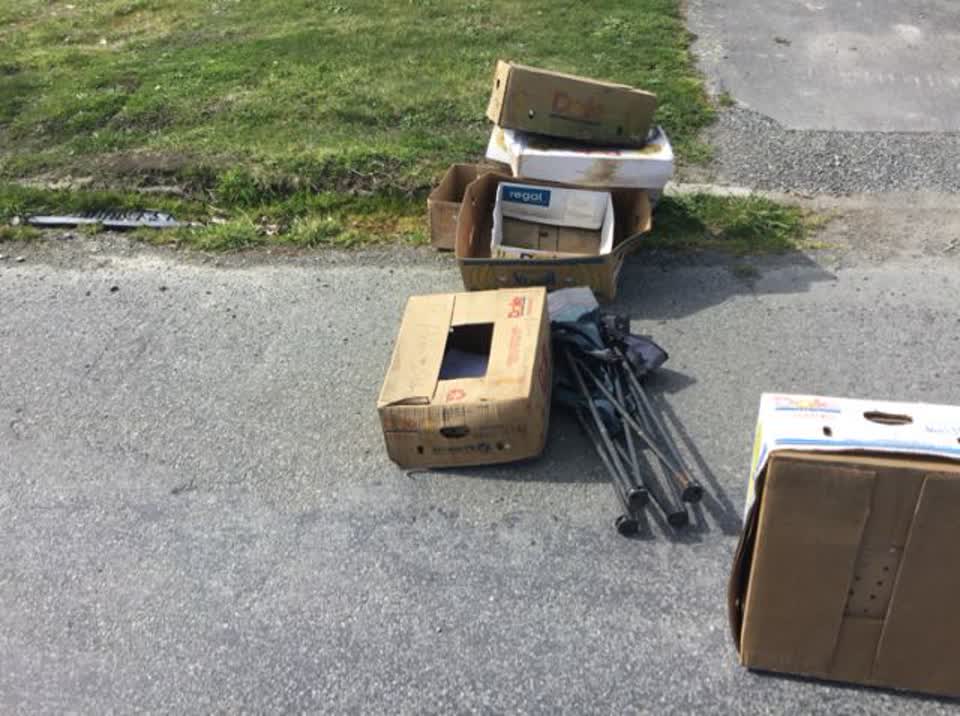 The photograph attached to this rubbish and bins - general report