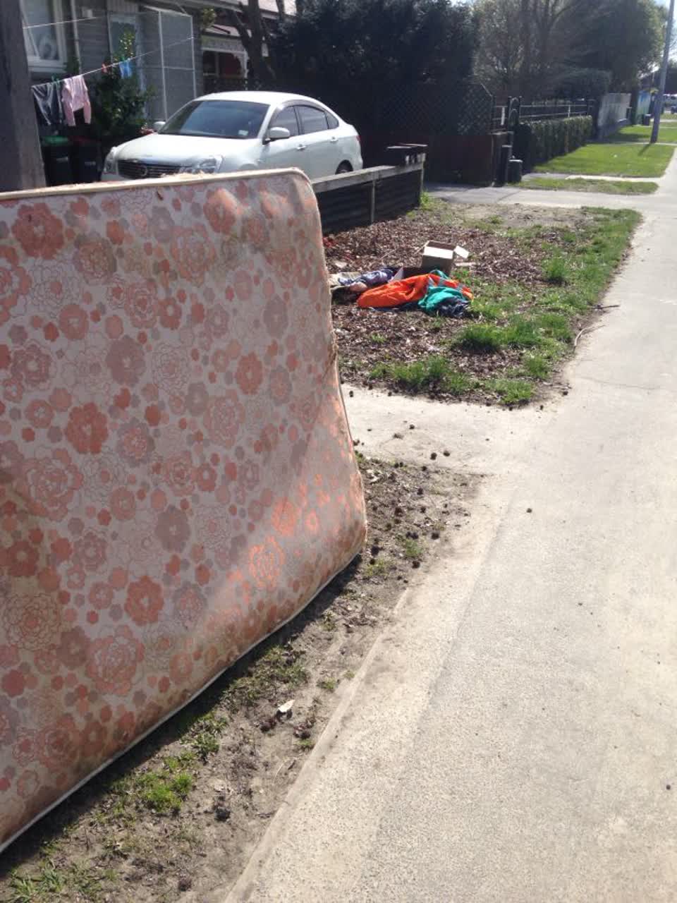 The photograph attached to this rubbish and bins - general report