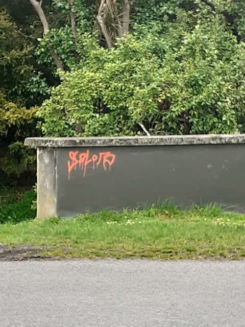 Graffiti, a report photo