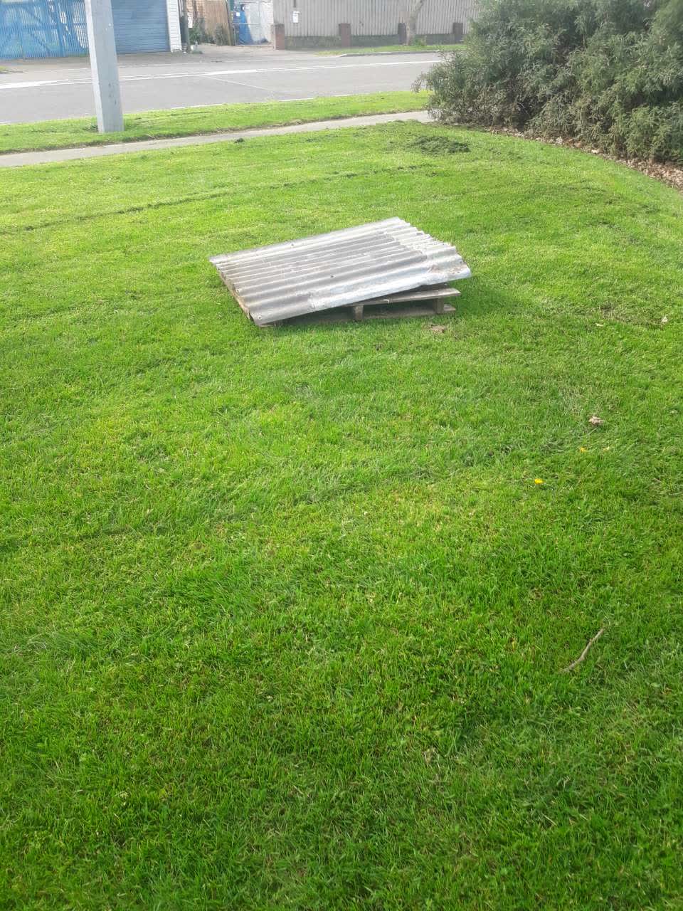 The photograph attached to this parks report