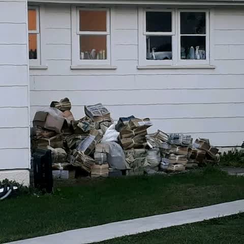 Rubbish and Bins - General, a report photo