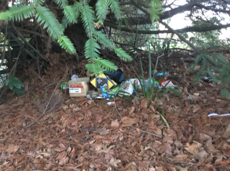 The photograph attached to this rubbish and bins - general report
