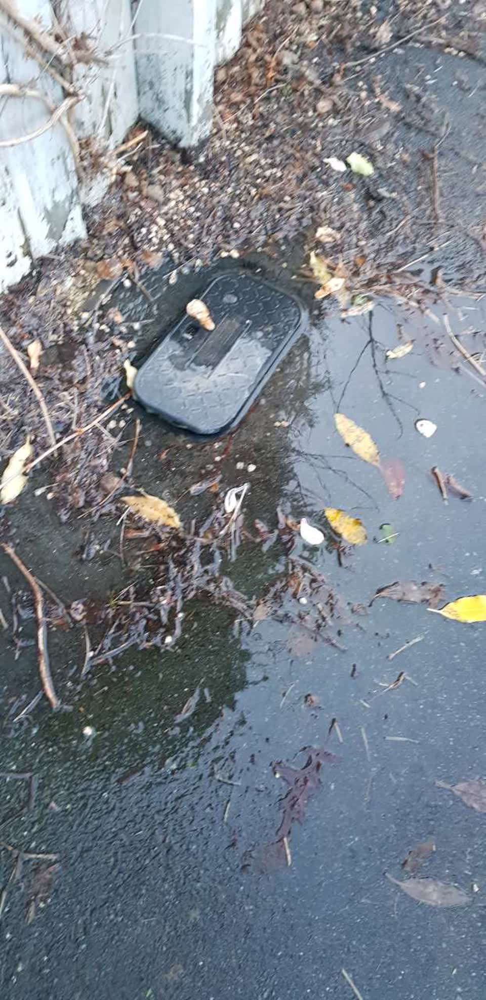 The photograph attached to this water general report
