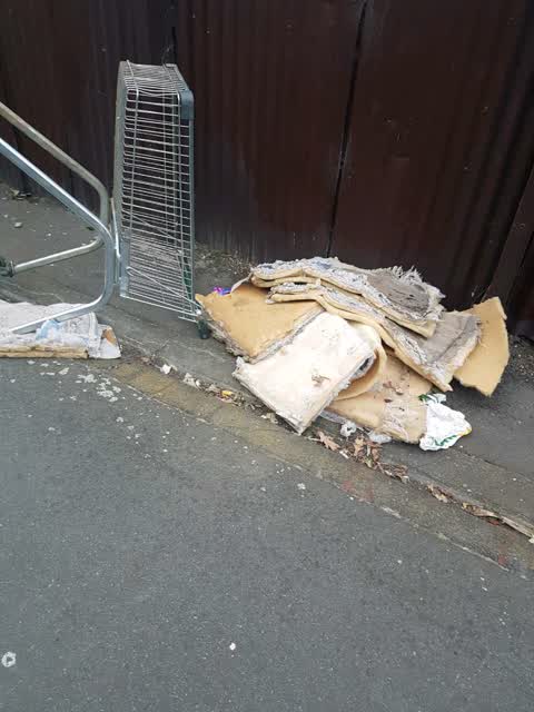 Rubbish and Bins - General — a report photo