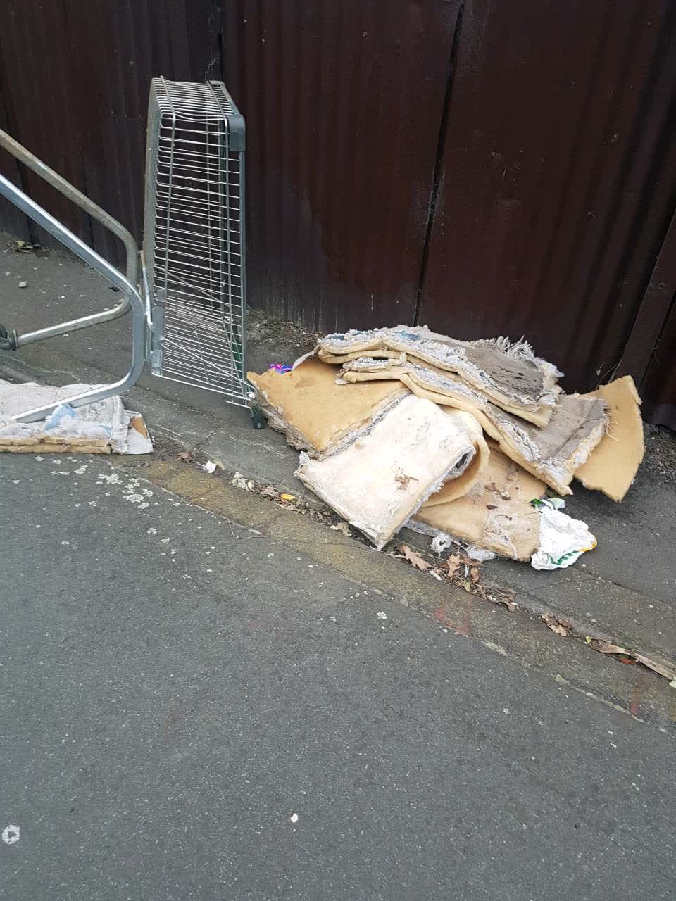 The photograph attached to this rubbish and bins - general report