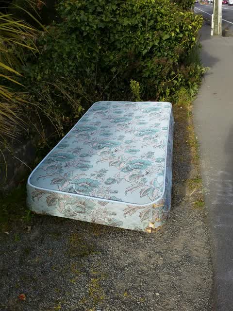 Rubbish and Bins - General, a report photo