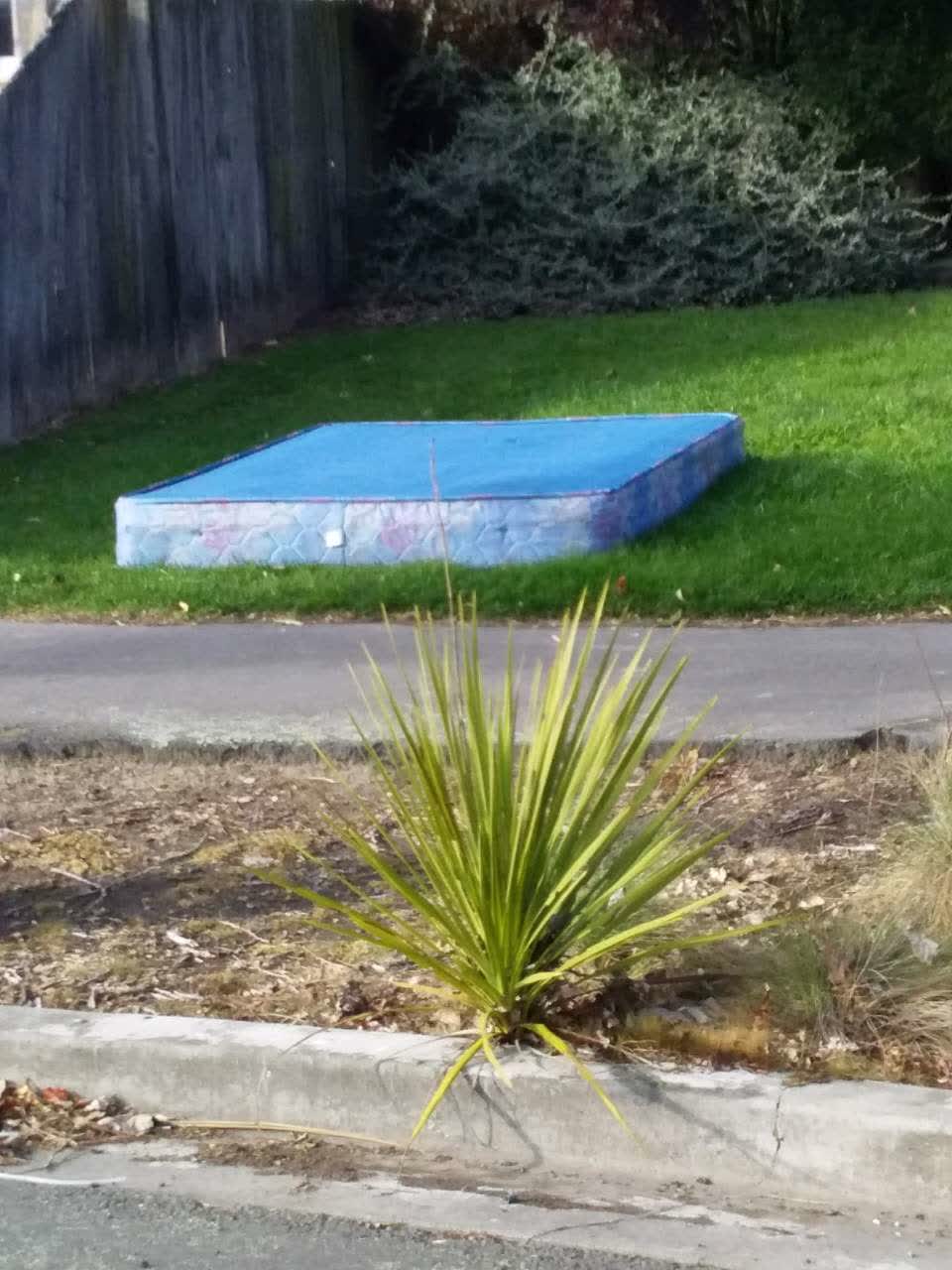 The photograph attached to this rubbish and bins - general report