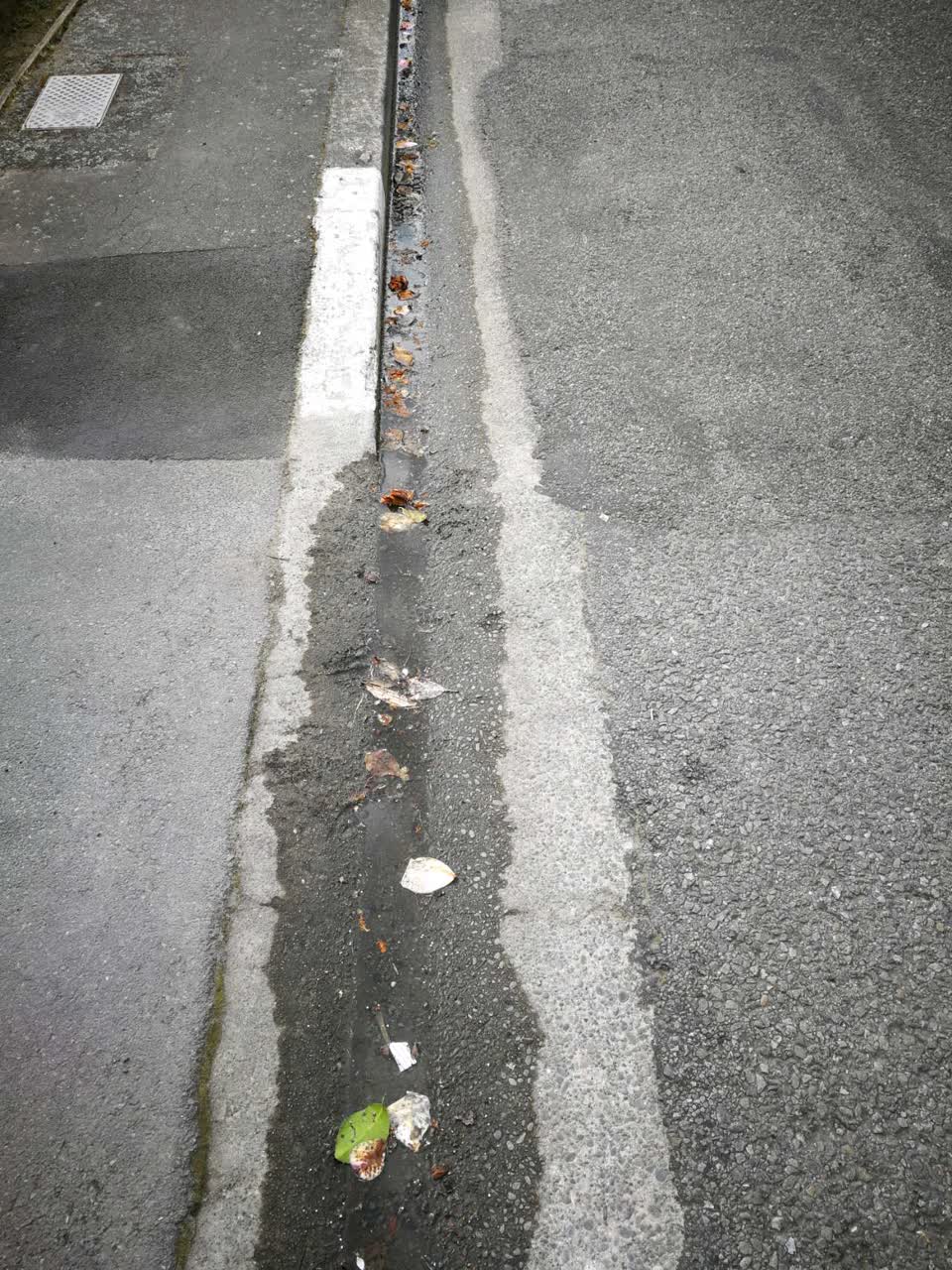 The photograph attached to this water general report