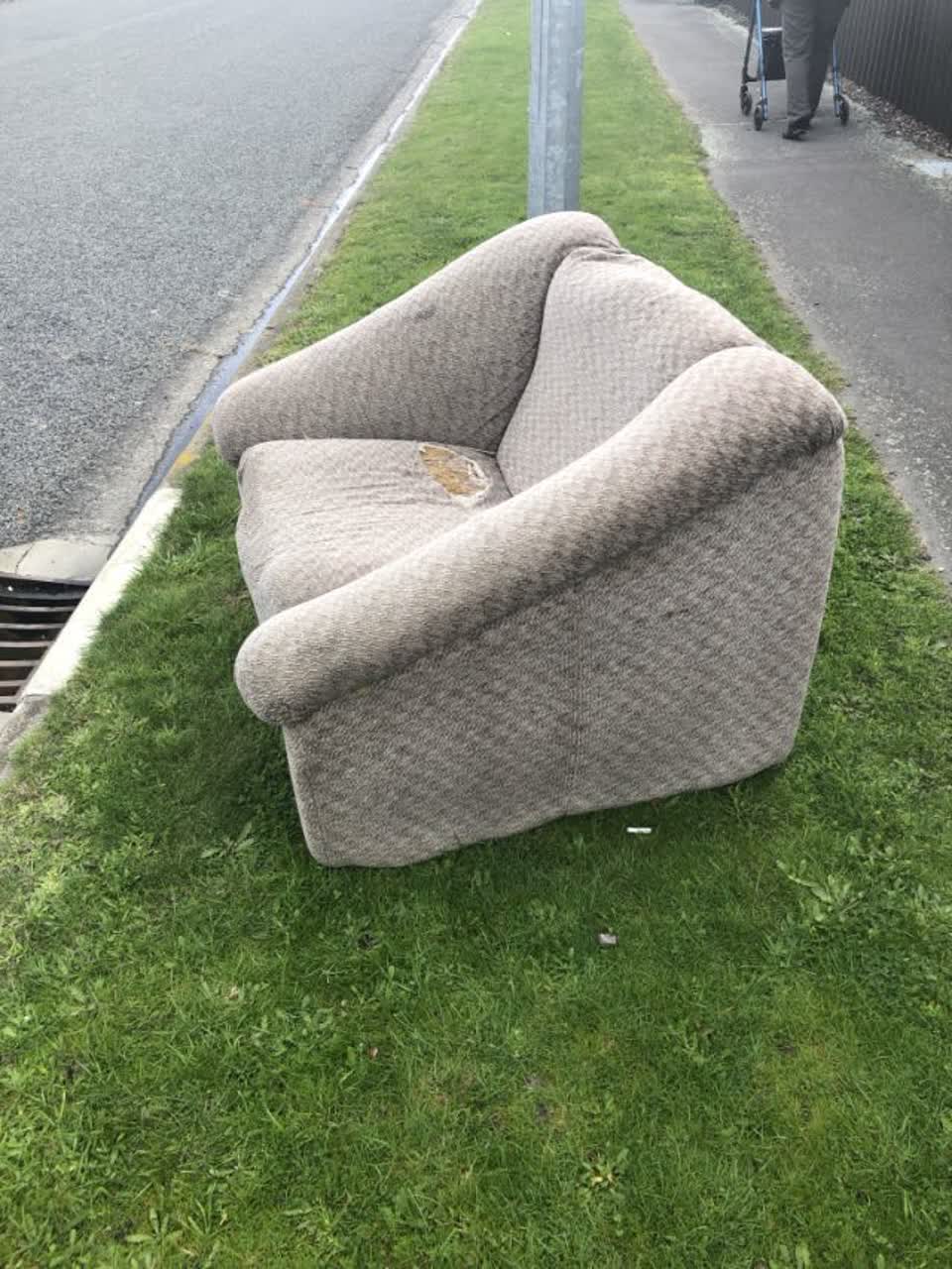 The photograph attached to this rubbish and bins - general report