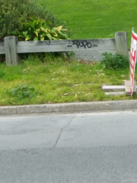 Graffiti — a report photo