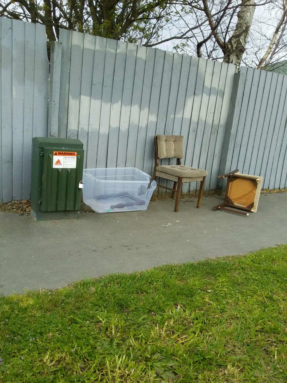 The photograph attached to this rubbish and bins - general report