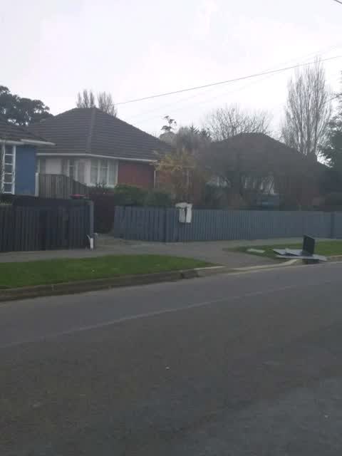 Rubbish and Bins - General, a report photo