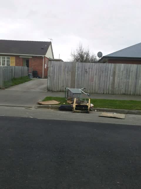 Rubbish and Bins - General, a report photo