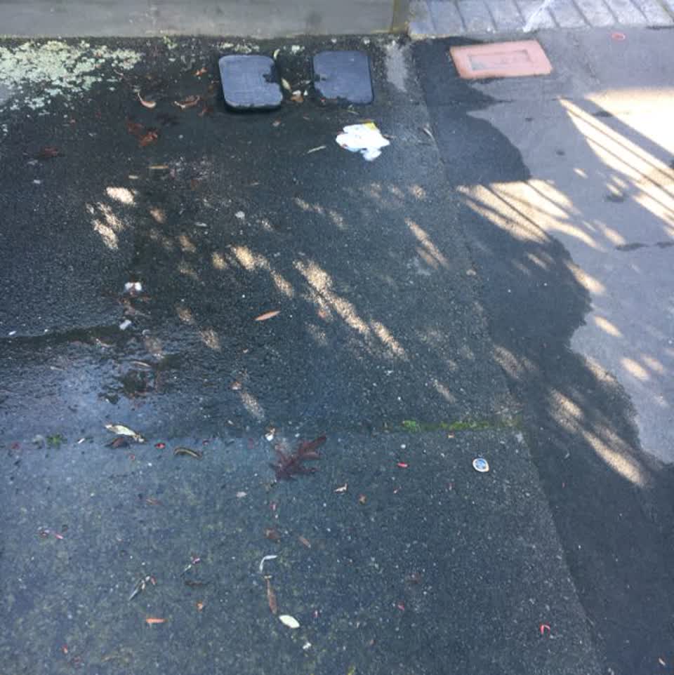 The photograph attached to this water general report
