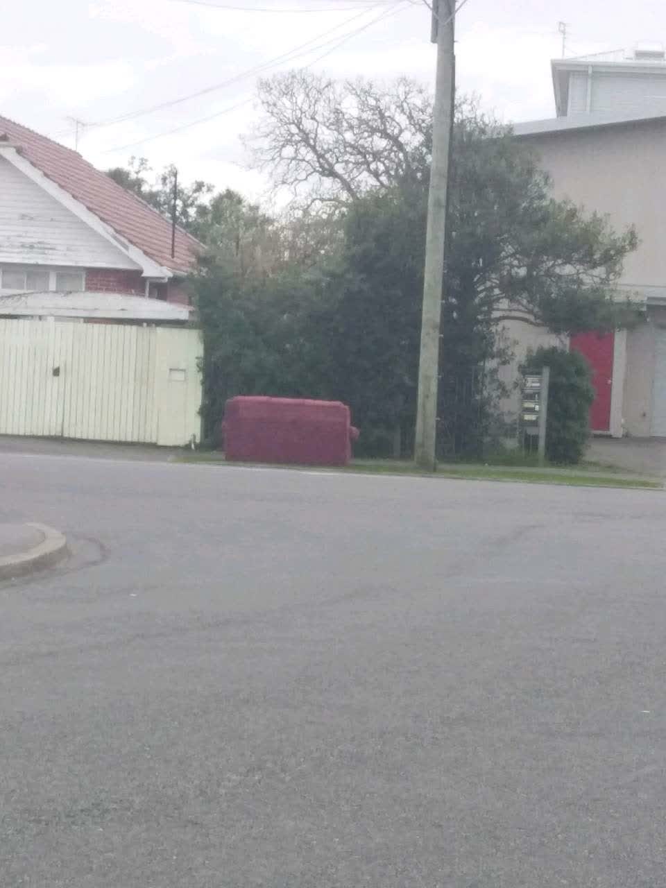 The photograph attached to this rubbish and bins - general report